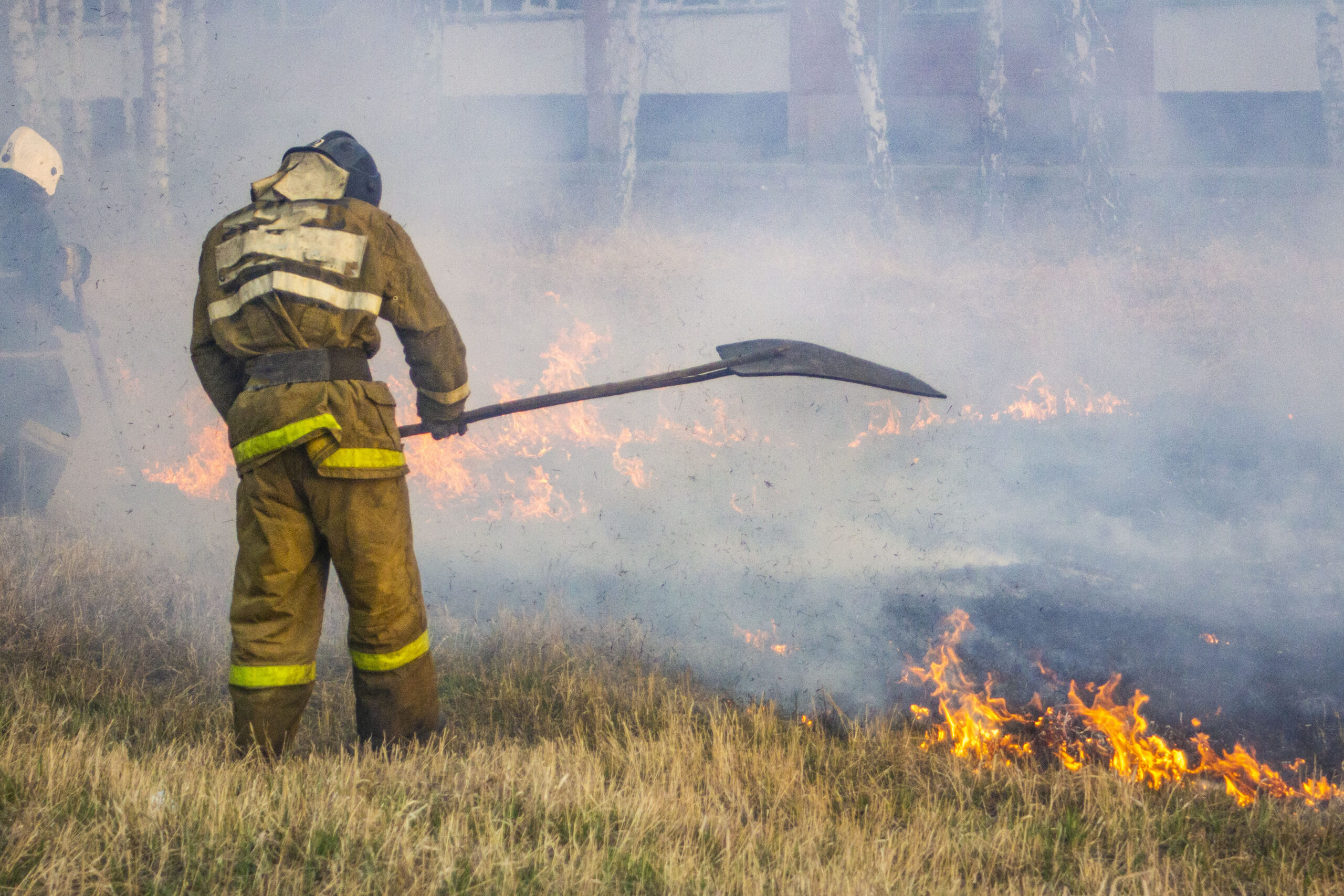 Raging forest spring fires. Burning dry grass, reed along lake. Grass is burning in meadow. Ecological catastrophy. Fire and smoke destroy all life. Firefighters extinguish Big fire. Lot of smok